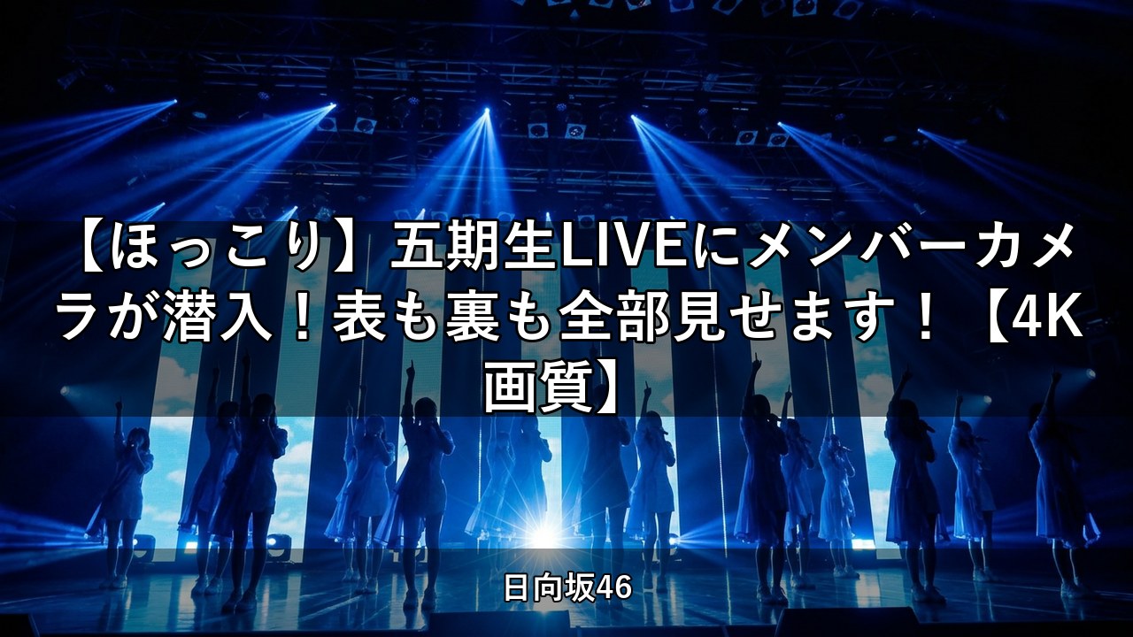 【ほっこり】五期生LIVEにメンバーカメラが潜入！表も裏も全部見せます！【4K画質】【日向坂ちゃんねる】